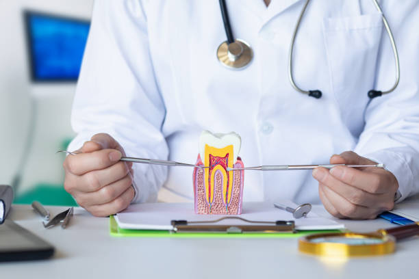 Best Emergency Gum Treatment in Maltby, WA